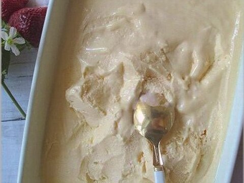 ひんやり冷た～い手作りアイス・バニラアイスクリーム